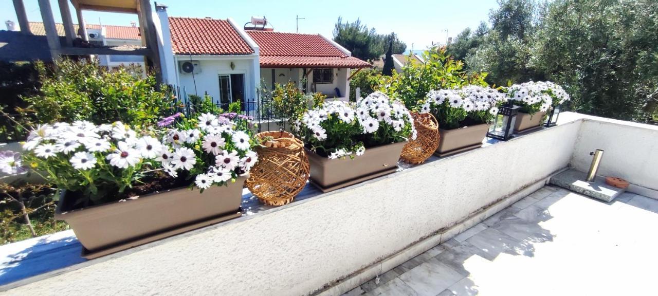 Villa Βianca In Sithonia Gerakini Bagian luar foto