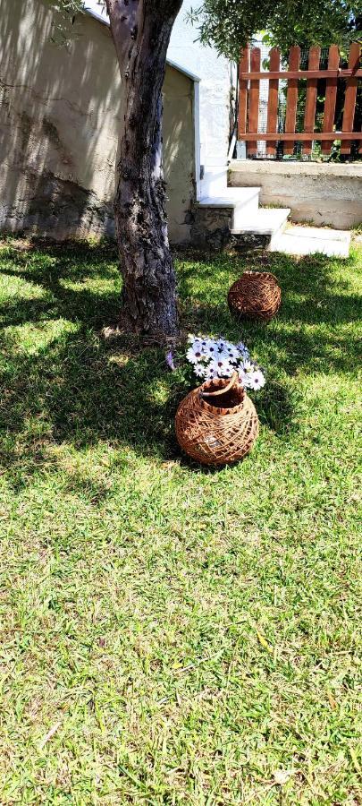 Villa Βianca In Sithonia Gerakini Bagian luar foto