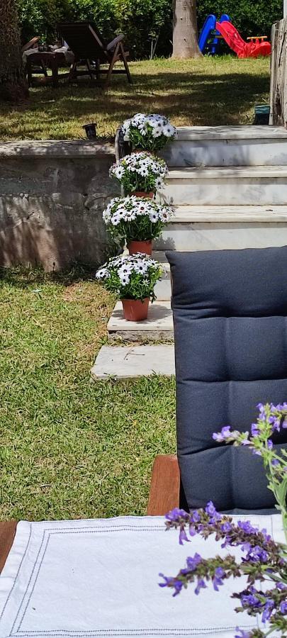 Villa Βianca In Sithonia Gerakini Bagian luar foto